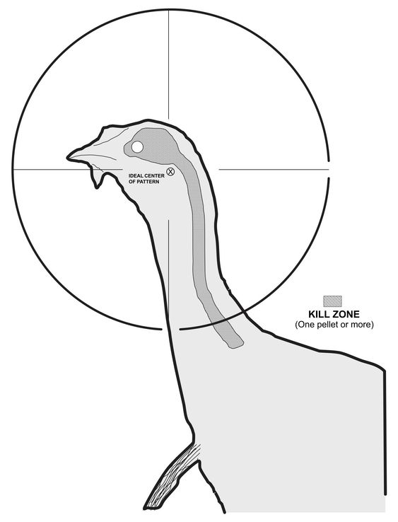Printable Shooting Targets And Gun Targets Nssf Free Printable 
