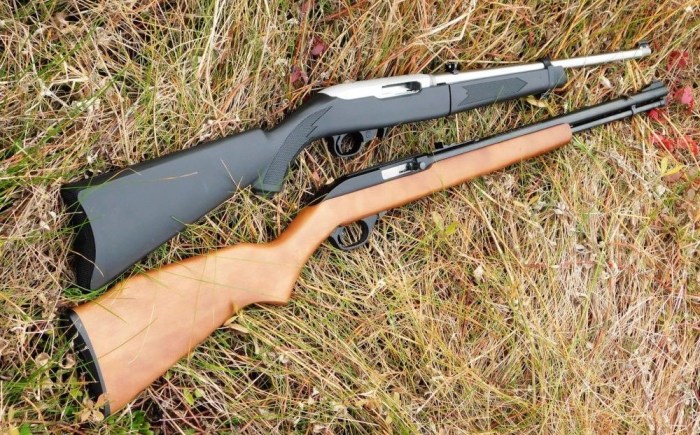 Marlin model 60 review