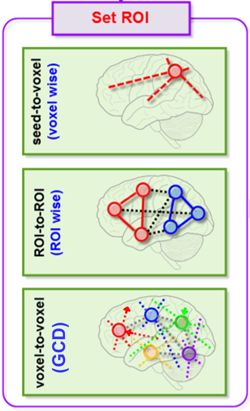 Github Guorongwu Dynamicbc Dynamic Brain Connectome Analysis Toolbox - Best Colorful Arts in Retina
