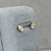 P/Pダイヤモンドピアス（18K）