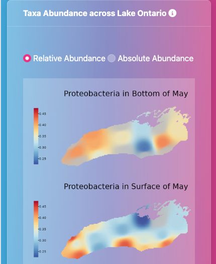 Chesterpendleton Chester Pendleton Github - Premium Minimal Picture Gallery - 4K
