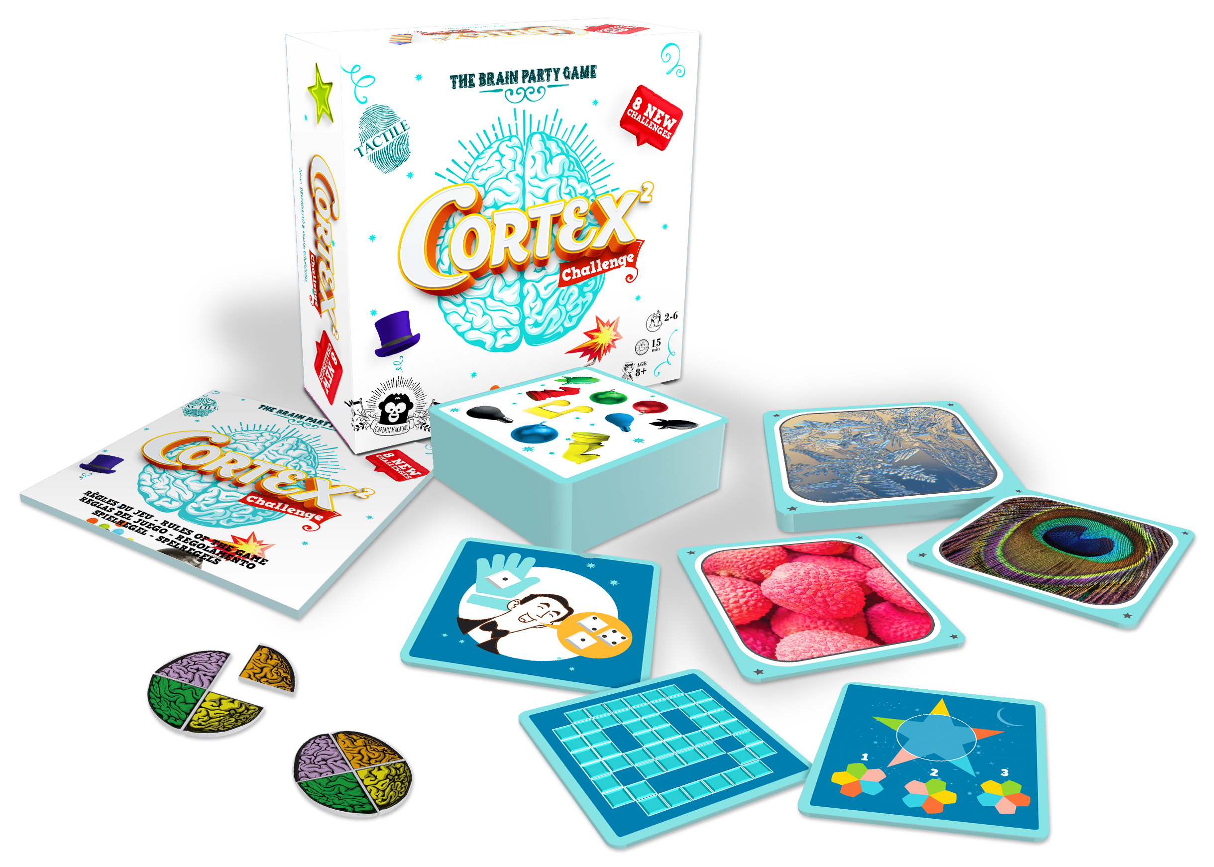 3D-Cortex²-eclaté