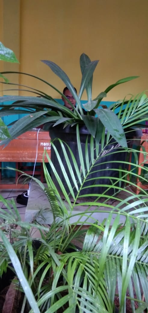 UJIAN SEKOLAH DI ERA MERDEKA BELAJAR