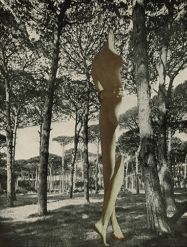 A la violadora de los parques públicos (To the Rapist-Girl From the Public Parks, 1999/2000) · collage, ink, pencil and oil pastel
