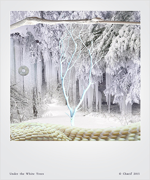 Under the White Trees