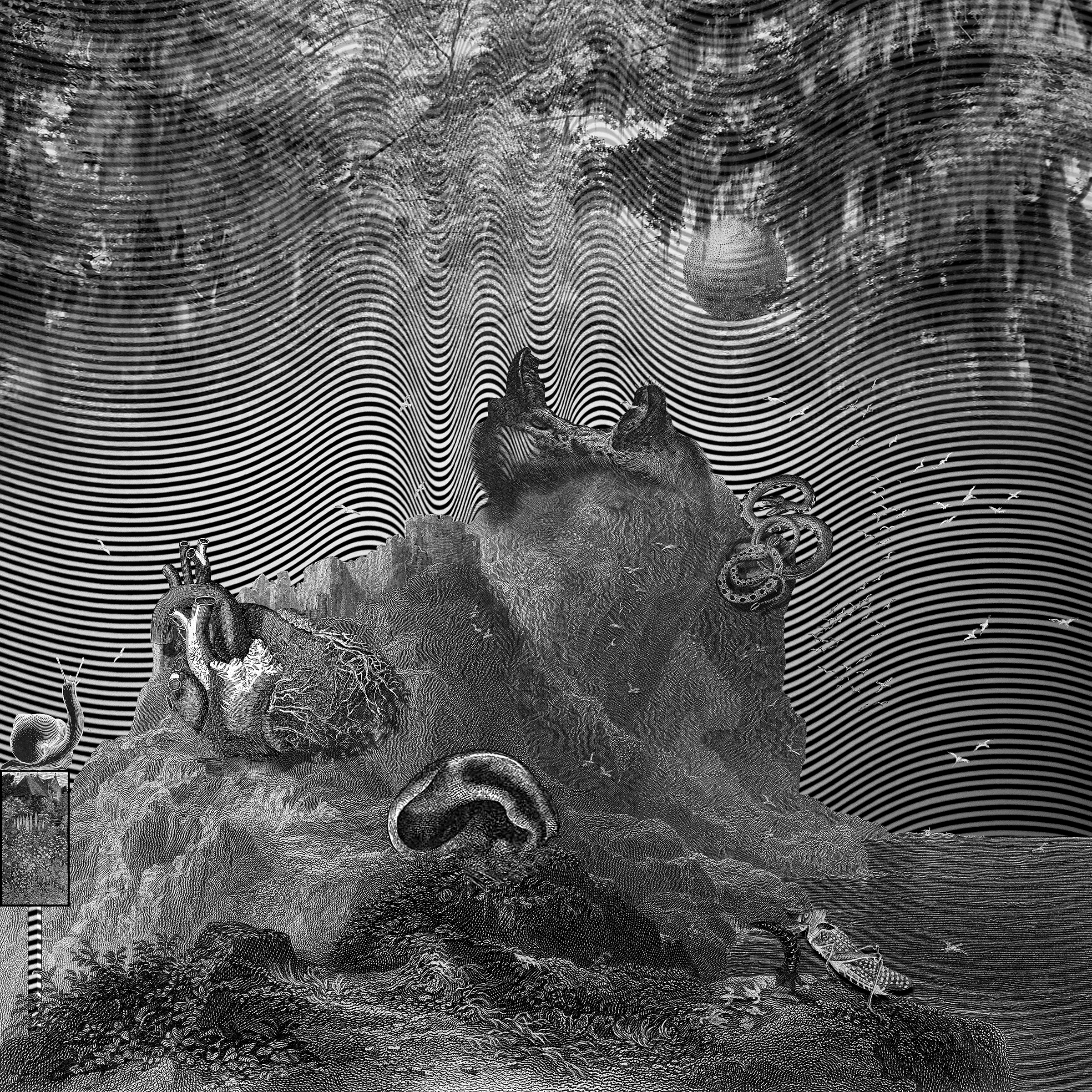 "Stepping into the Glade" (2017)