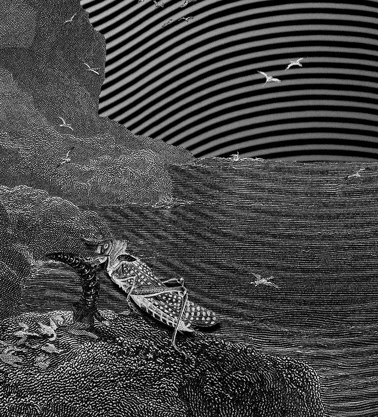 Detail of "Stepping into the Glade" (2017)