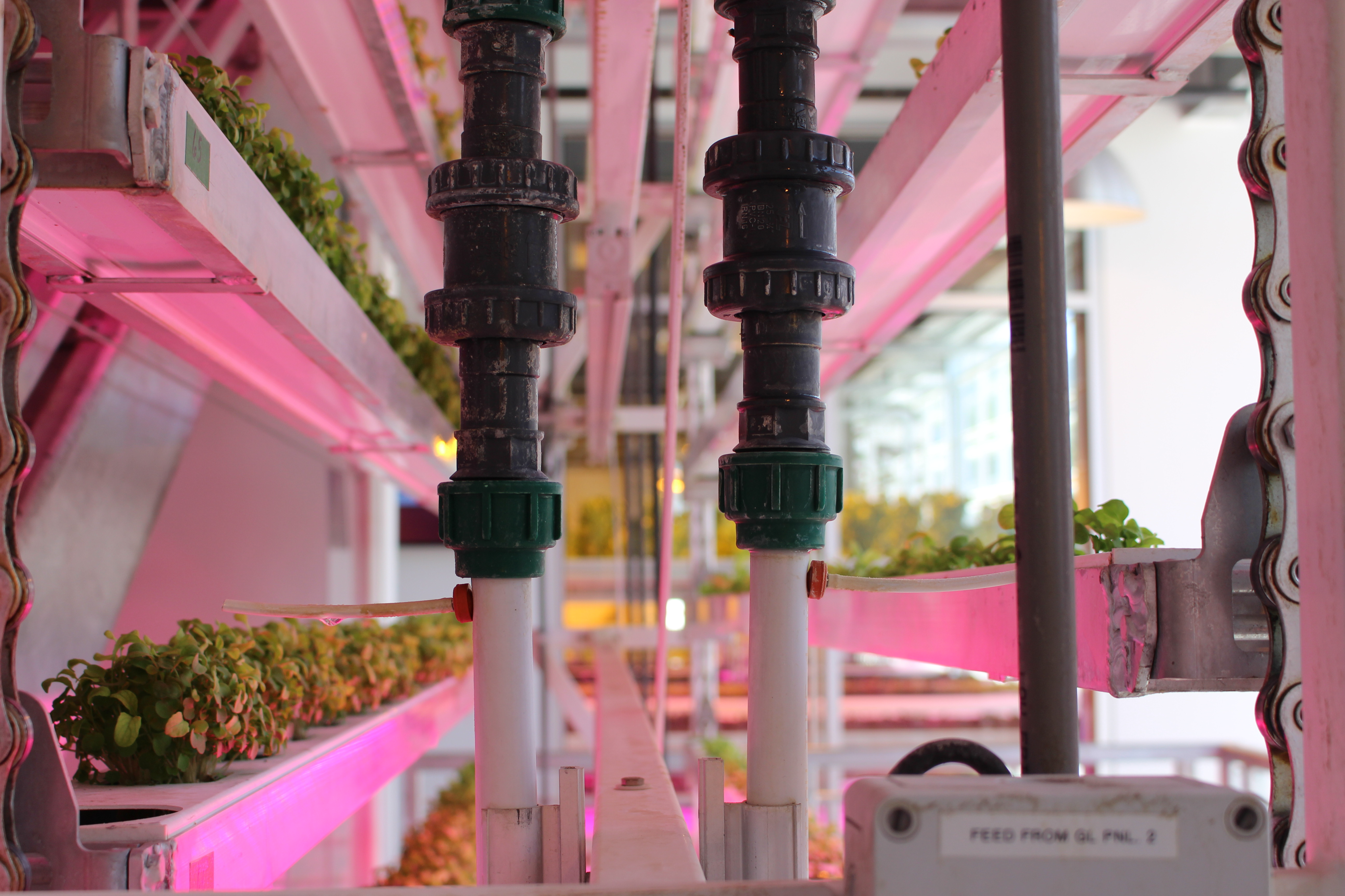 Pipes transporting the liquid nutrient solution.