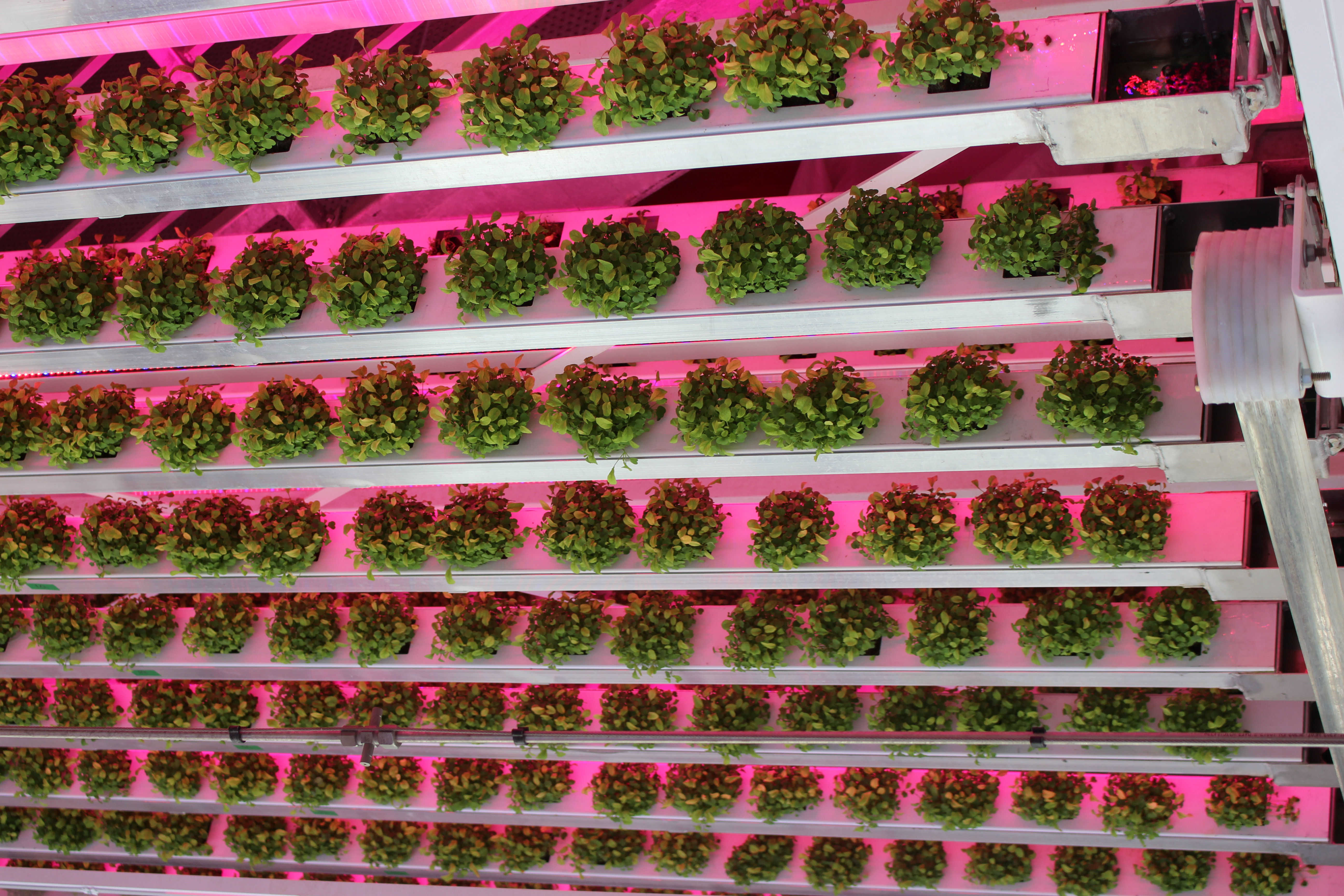 Vertical Carousel full frontal.