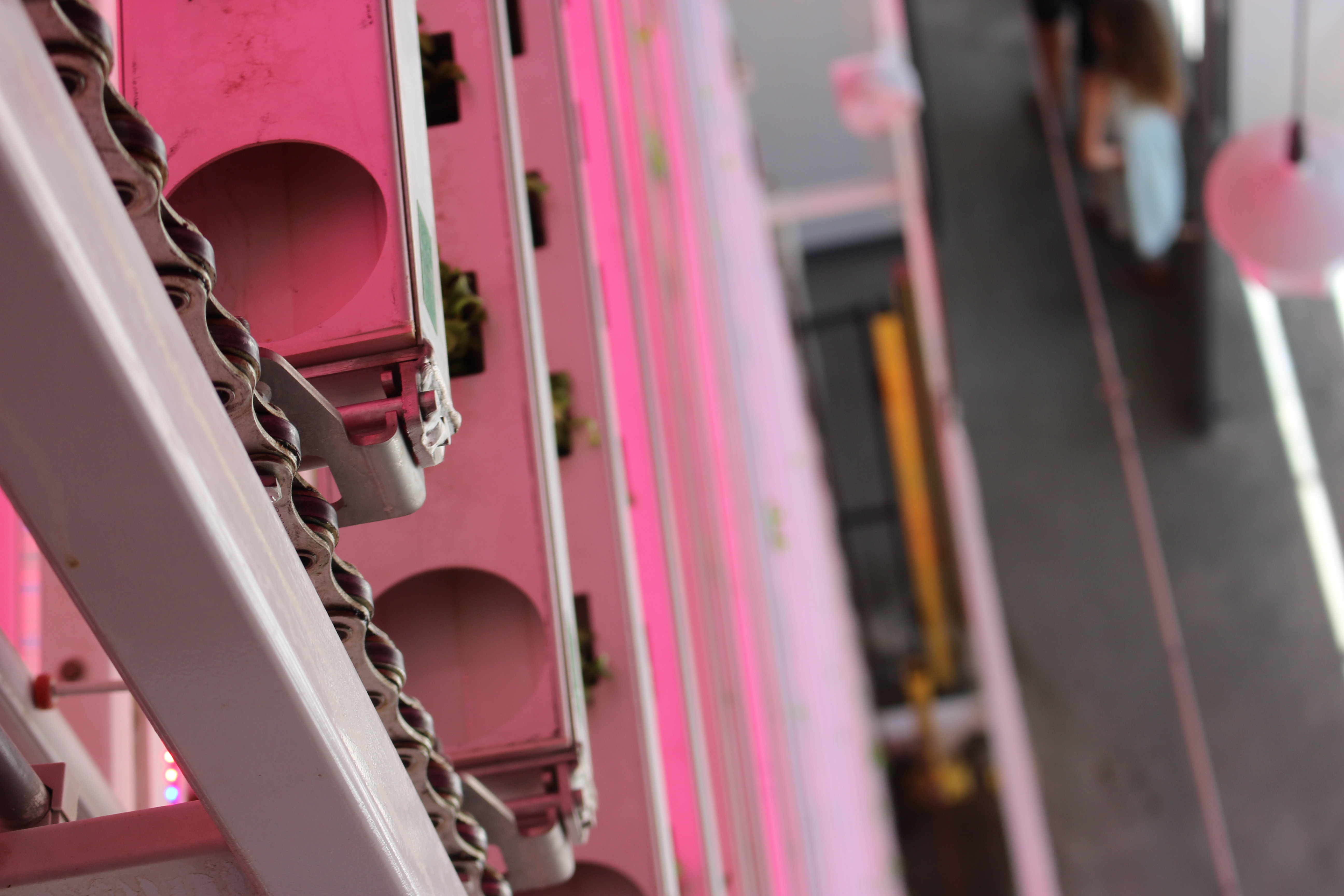 Rotating chains are a key component of the carousel design.