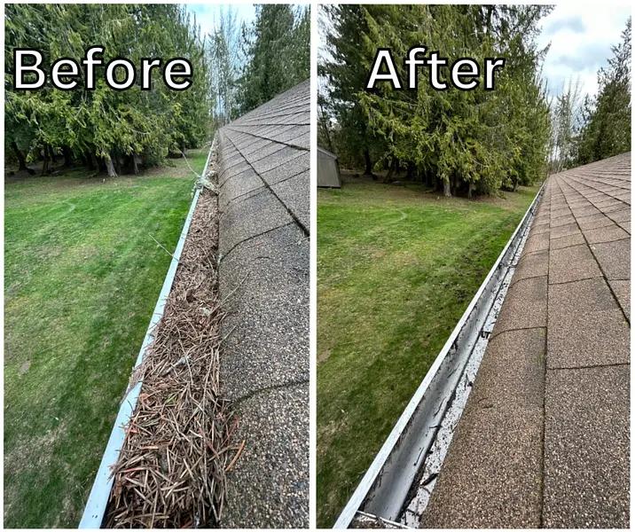 gutter_cleaning_5