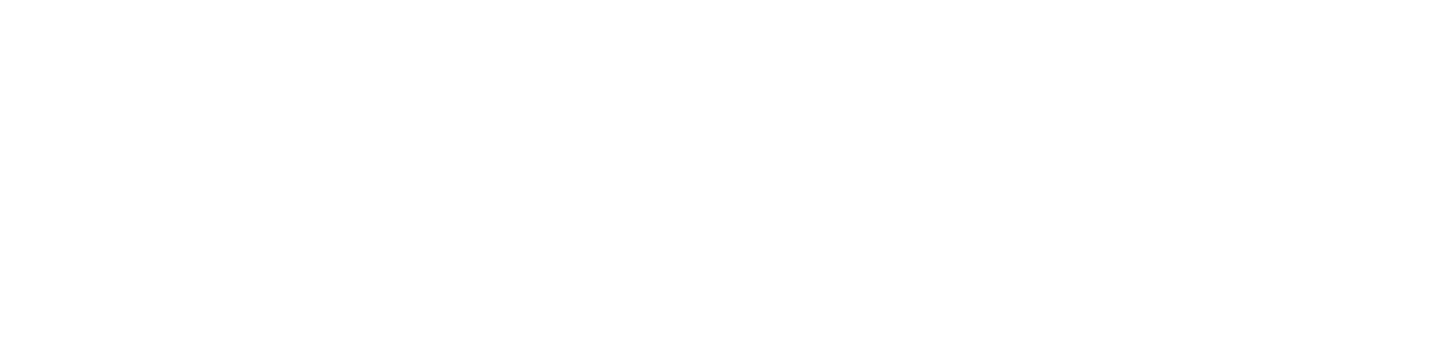 Logo Anasac