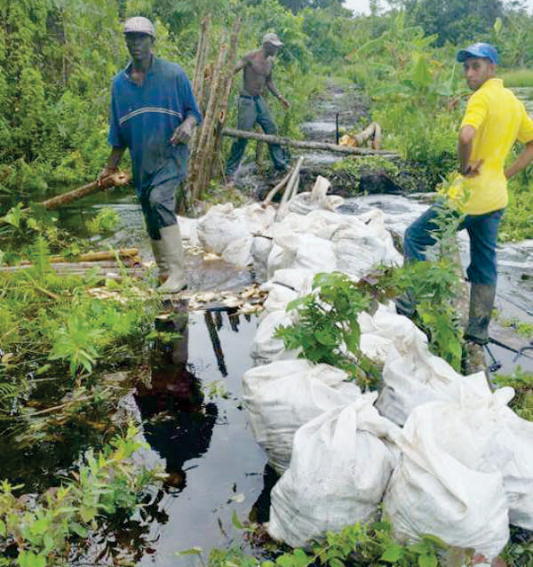 Farmers using sand bags to stop breaches