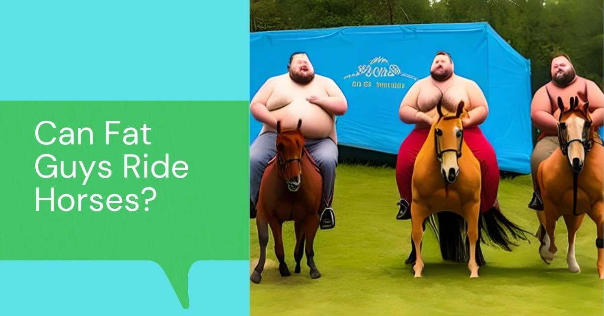 Helpful Hints and Tips on Can Fat Guys Ride Horses?