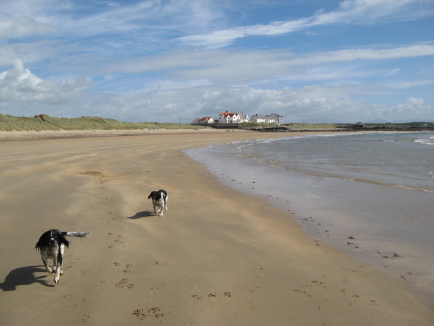 Rhosneigr Llydan