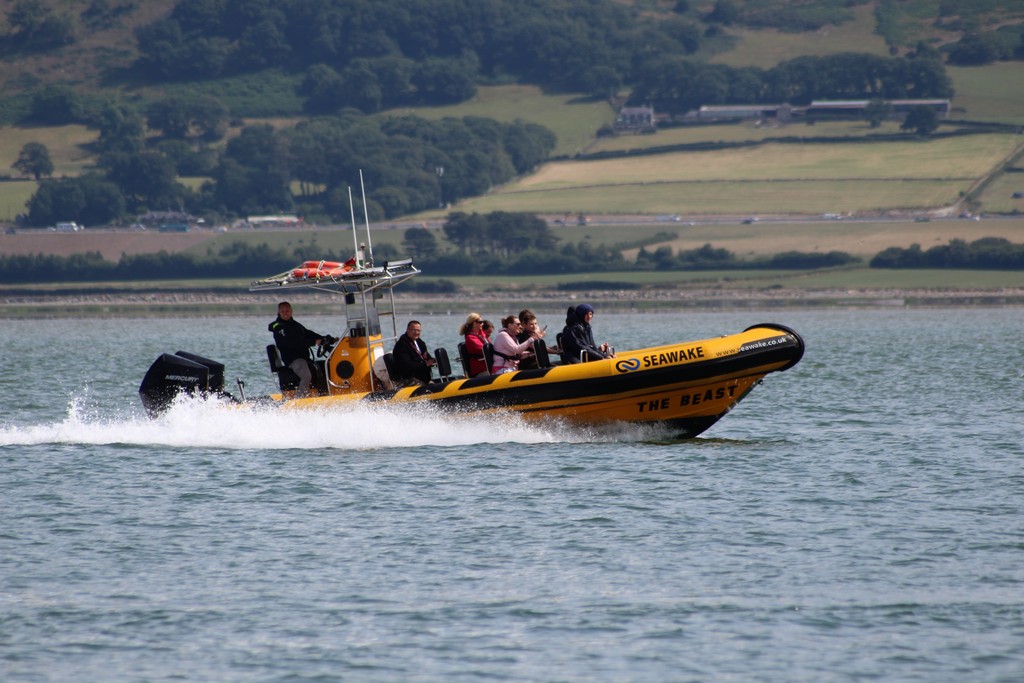 Puffin Island Rib Ride Tour