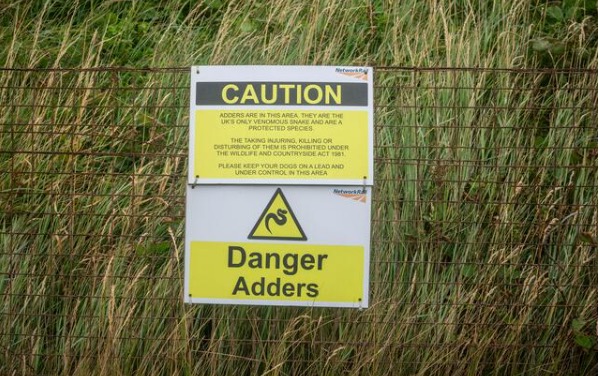 Adder awareness sign in the British countryside