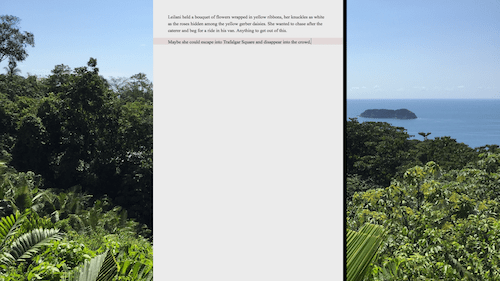 full screen composition mode with image