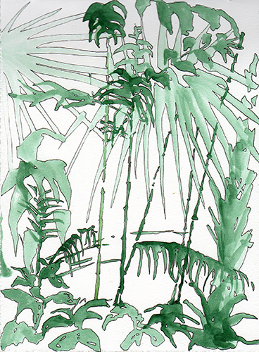 plants at Como Conservatory