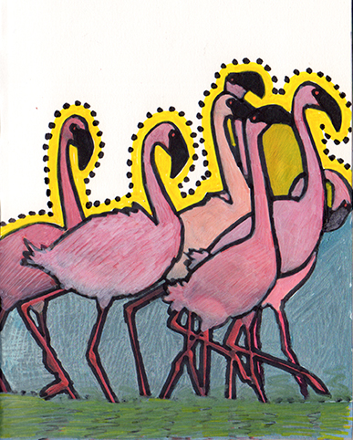 Flamingoes
