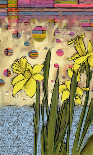 Daffodil studies 2