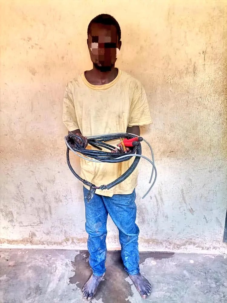 Enugu State Arrests Telecom Vandal: Key Details