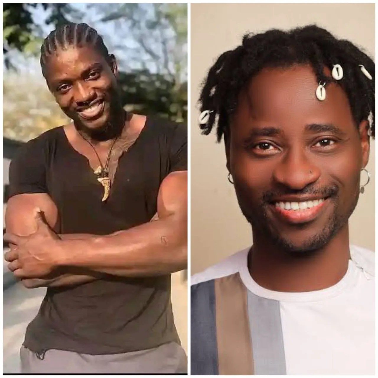 Bisi Alimi Critiques VeryDarkMan's Activism