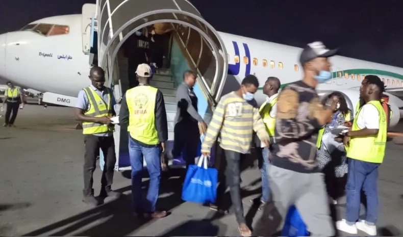 180 Nigerians Safely Return from Libya: Voluntary Repatriation Explained