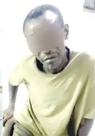 Informant Exposes Kaduna Bandits' Ransom Scheme