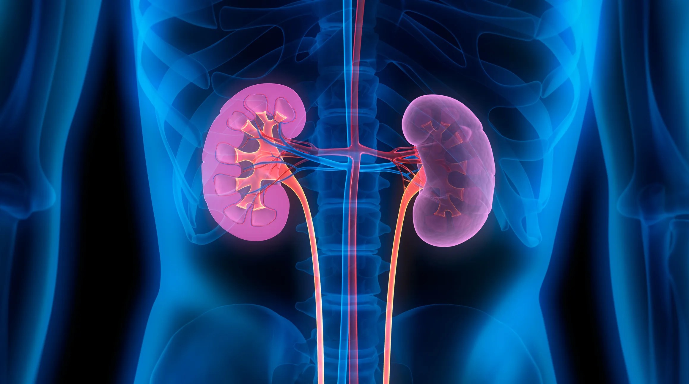 Top 10 Tips for Preventing Kidney Disease Naturally