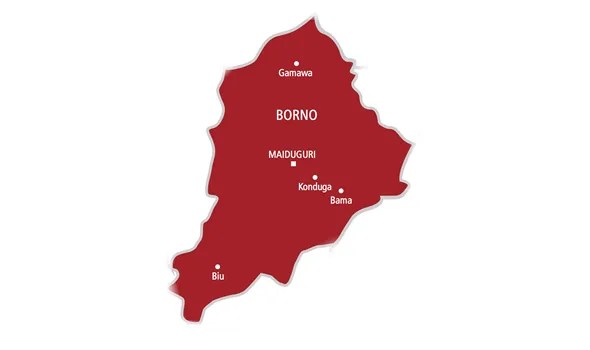 Four Children Die Mysteriously in Borno Community, Parents Hospitalised