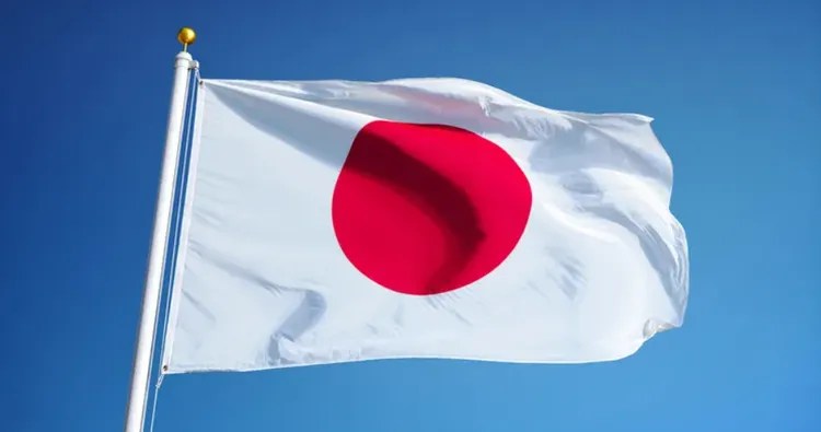 Japan Africa Hometown project visa