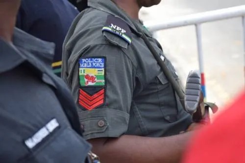 Police arrest 15-year-old serial robbery suspect in Gombe