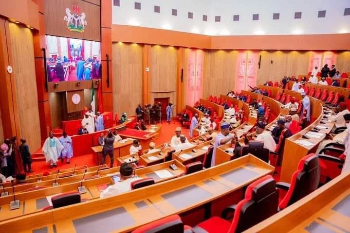 Senate Urges Tougher Oversight to Boost Transparency in Procurement