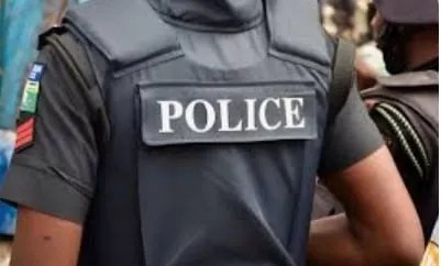 Police Arrest Robbery, Drug Suspects in Niger Raids