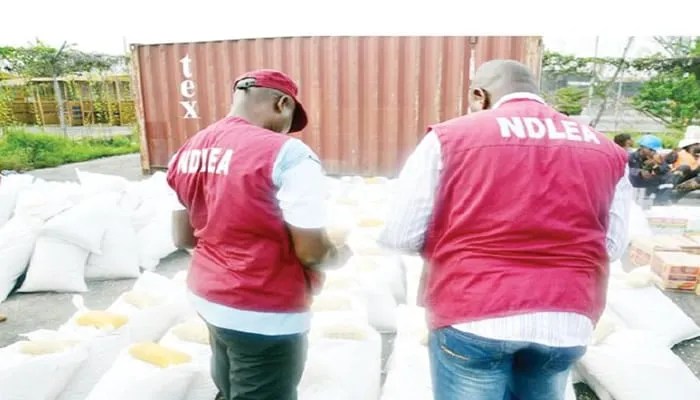 NDLEA Arrests Two Suspected Traffickers, Seizes 763 kg Skunk Cannabis in Edo