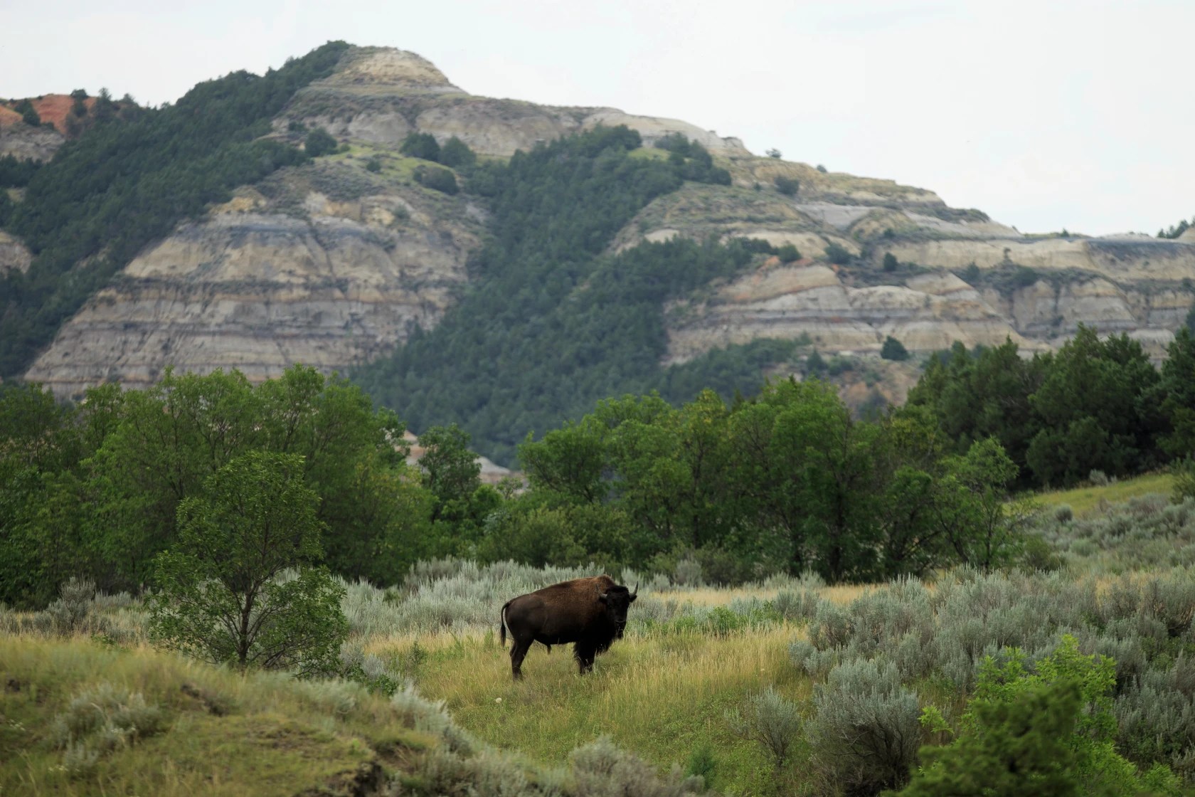 Trump National Parks Order Sparks Backlash as Visitors Reject Calls to Flag ‘Negative’ Historical Information