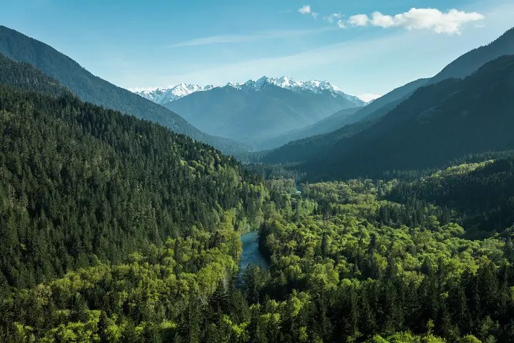 Human Remains Found in Sleeping Bag at National Park Identified After 26 Years