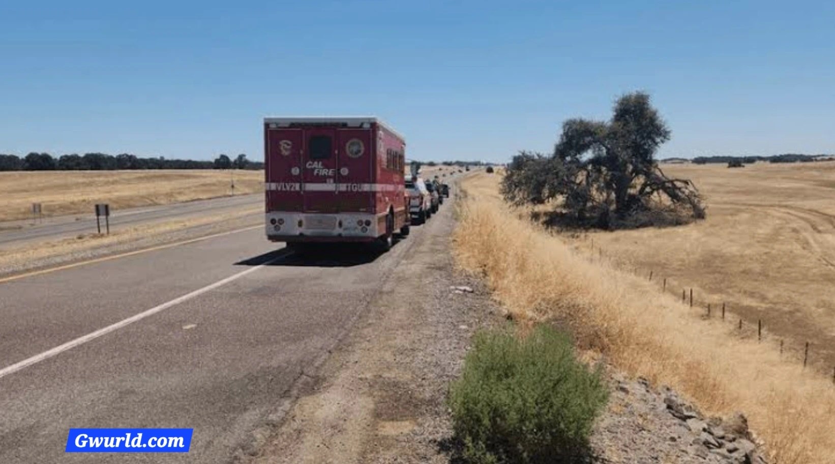 Highway Vehicle Fire Spreads to Roadside Vegetation, Raising Fire Concerns