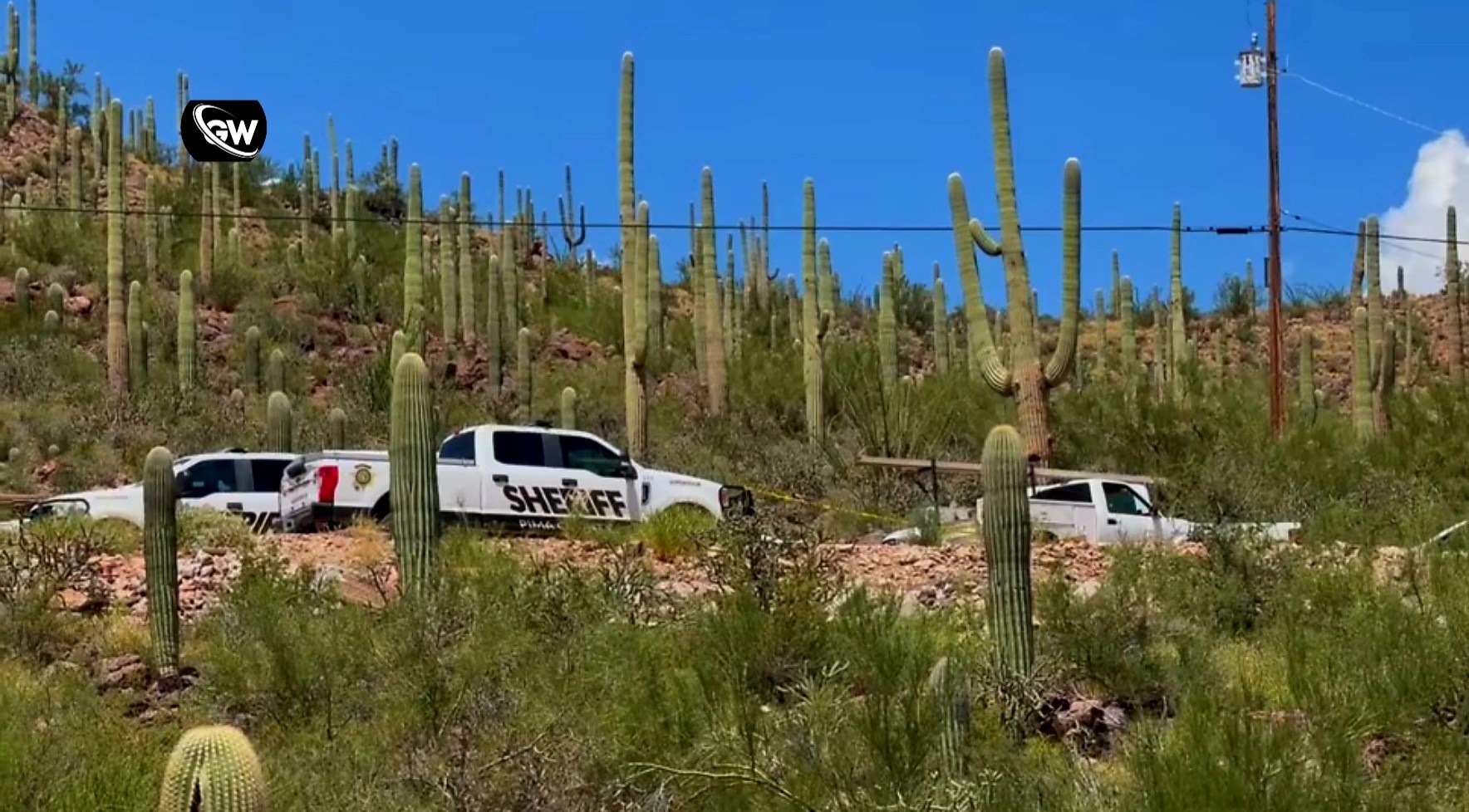 Nancy Guthrie Case: Human Remains Found 15 Miles Away With No Indication of Connection