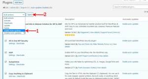 WordPress Plugin Automatic Update कैसे करें 4 Plugin Automatic Update, Plugin Auto Update, Plugin Auto Update कैसे करें, WordPress Plugin Automatic Update कैसे करें