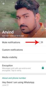 Whatsapp Message Mute कैसे करें 3 Whatsapp Message Mute, Message Mute, Message Mute कैसे करें, Whatsapp Message Mute कैसे करें