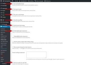 W3 Total Cache Setup कैसे करें 12 W3 Total Cache, W3 Total Cache Setup, W3 Total Cache Setup plugin setup kaise kare, W3 Total Cache Setup कैसे करें