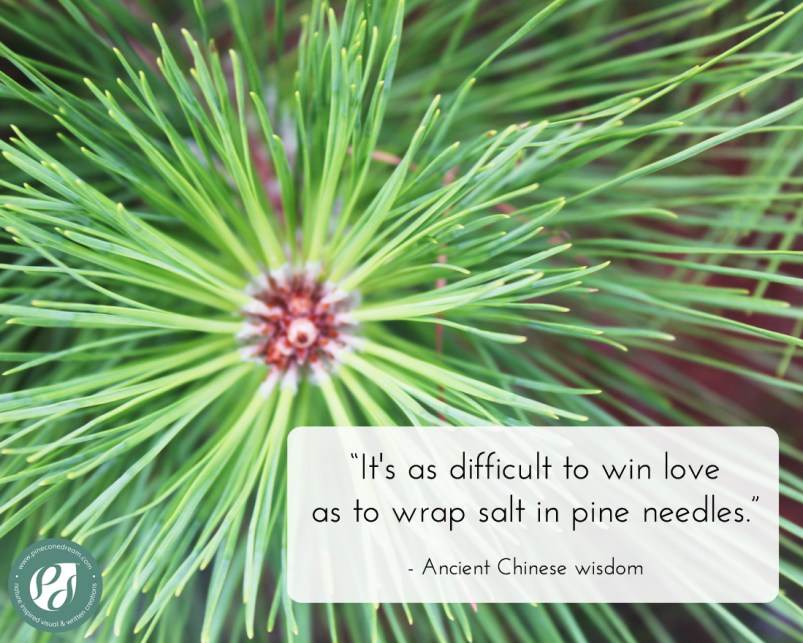 Chinese Wisdom Pine tree
