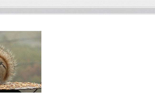 HTML Img Tag - Gyanipandit Programming