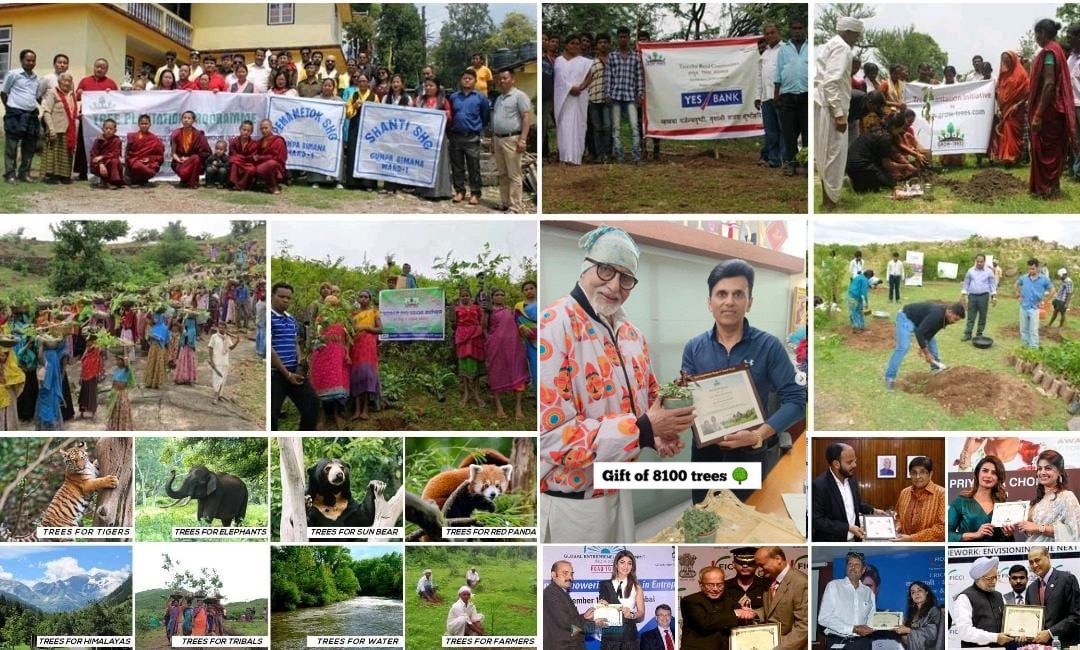 20 Mn Trees to Expand India’s Green Cover and Absorb Over 400 Mn Kgs of Carbon Annually