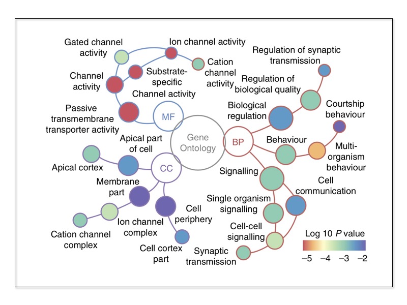 Github Mywanuo Circrnadetection Detect Circrnas In Fastq Files Using - Premium Retina Minimal Designs | Free Download