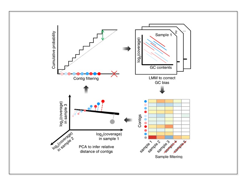 Github Damianjm Depolymerase Predictor Depolymerase Predictor Depp - Mountain Illustration Collection - Mobile Quality