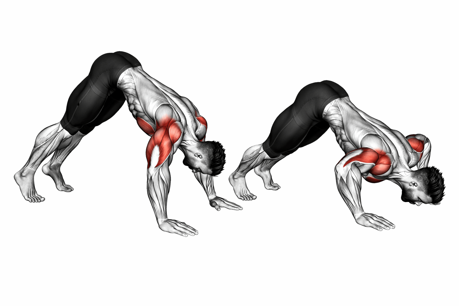 Pike push up