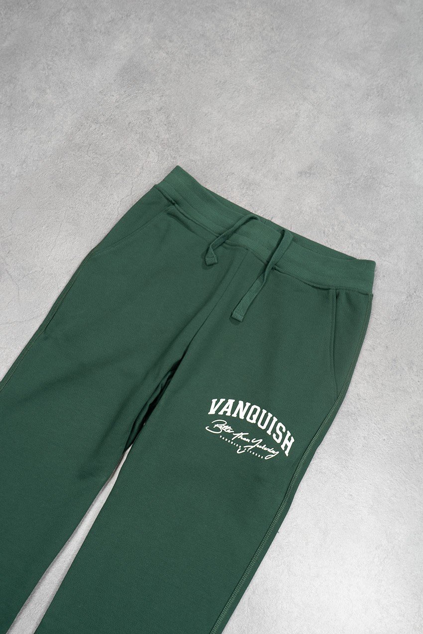 Vanquish Sweatpants - Görsel 3